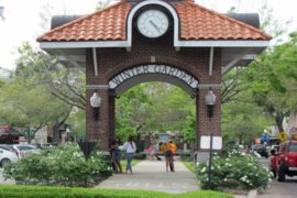 Winter Garden Village: