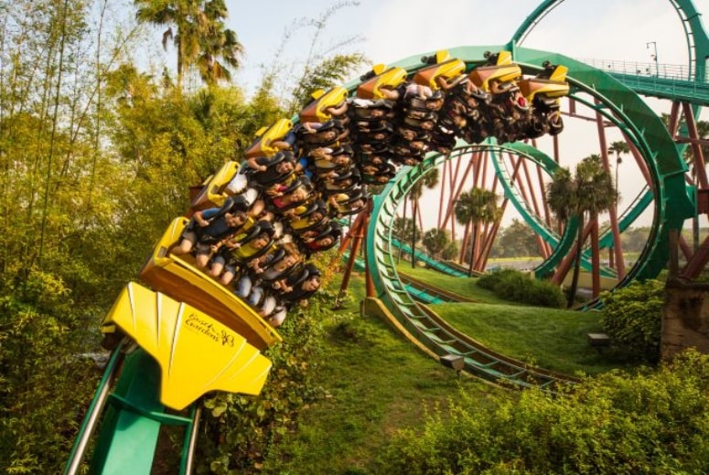 Tudo sobre o Parque Busch Gardens – Principais Atrações