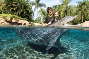 Parque Discovery Cove