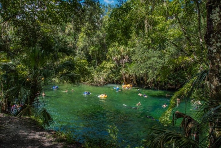 Springs Perto de Orlando- Blue Spring State Park-min