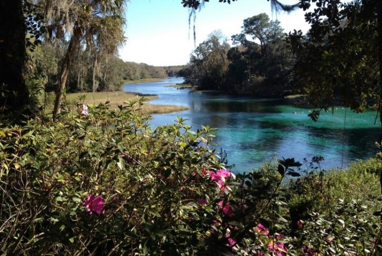Springs Perto de Orlando - Rainbow Springs State Park
