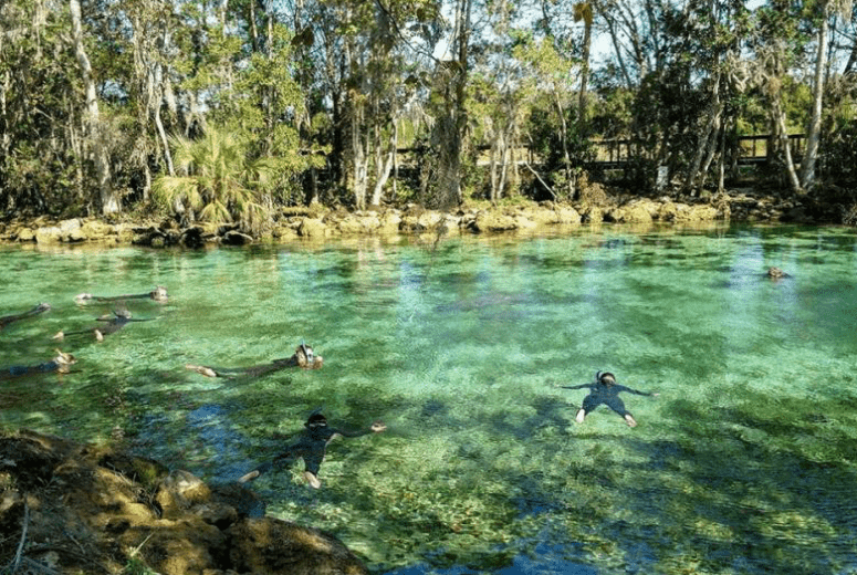 Springs próximos de Orlando - Three Sisters Springs
