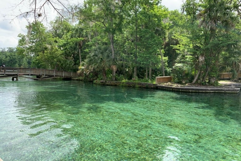 Springs da Flórida: 10+ Piscinas naturais lindas pertinho de Orlando