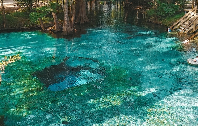 Ginnie Springs