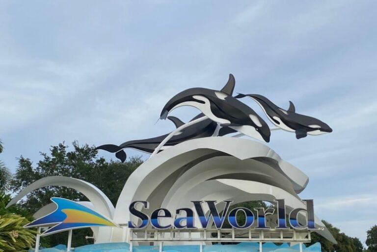 Sea World Orlando Anuncia Plano e Data de Reabertura