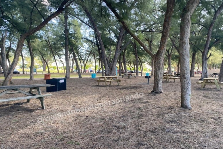 Roteiro de Praias: Coquina