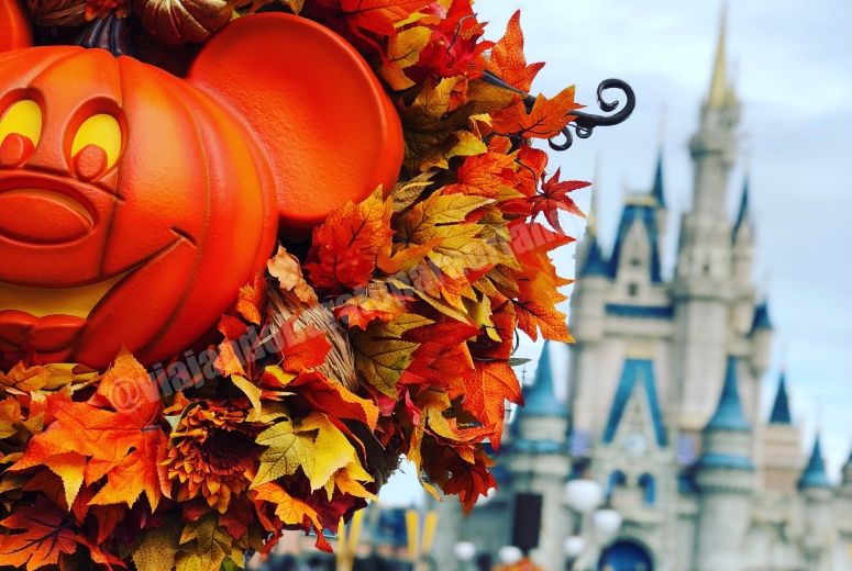 Halloween Disney 2023 - datas anunciadas para o evento deste ano!