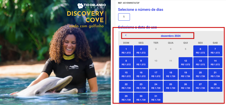 Onde Nadar com os Golfinhos em Orlando