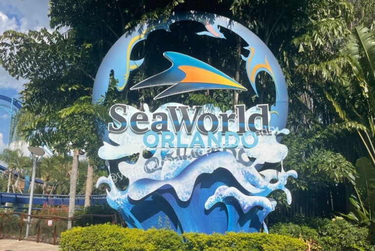 Altura Mínima nas Atrações do SeaWorld Orlando