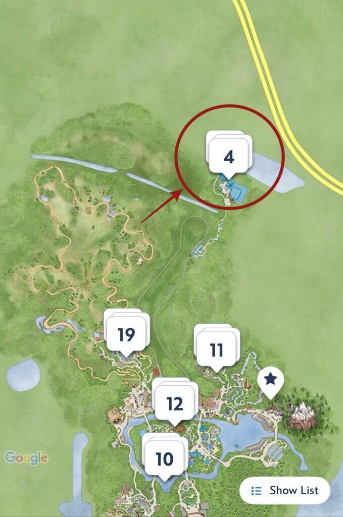 Bluey Animal Kingdom